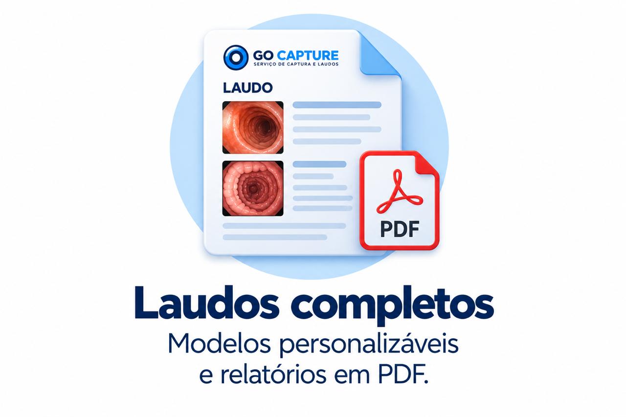 Laudos e relatórios em PDF